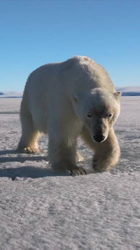 CBA新星张文杰首分引爆德比战 F1电影细节再现真